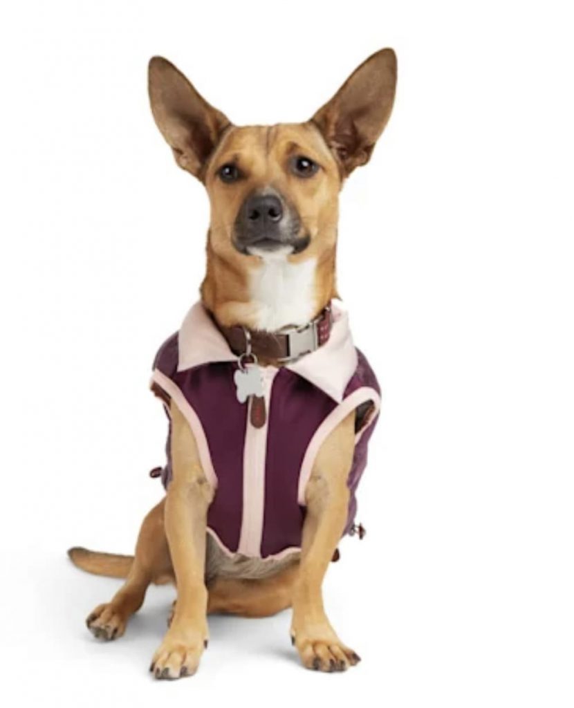 Reddy Grape Puffer Dog Vest