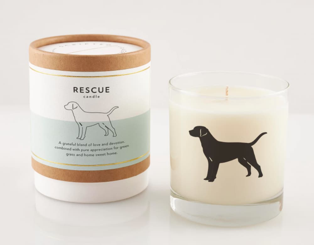 Odor Eliminating Dog Food Bowl Candle