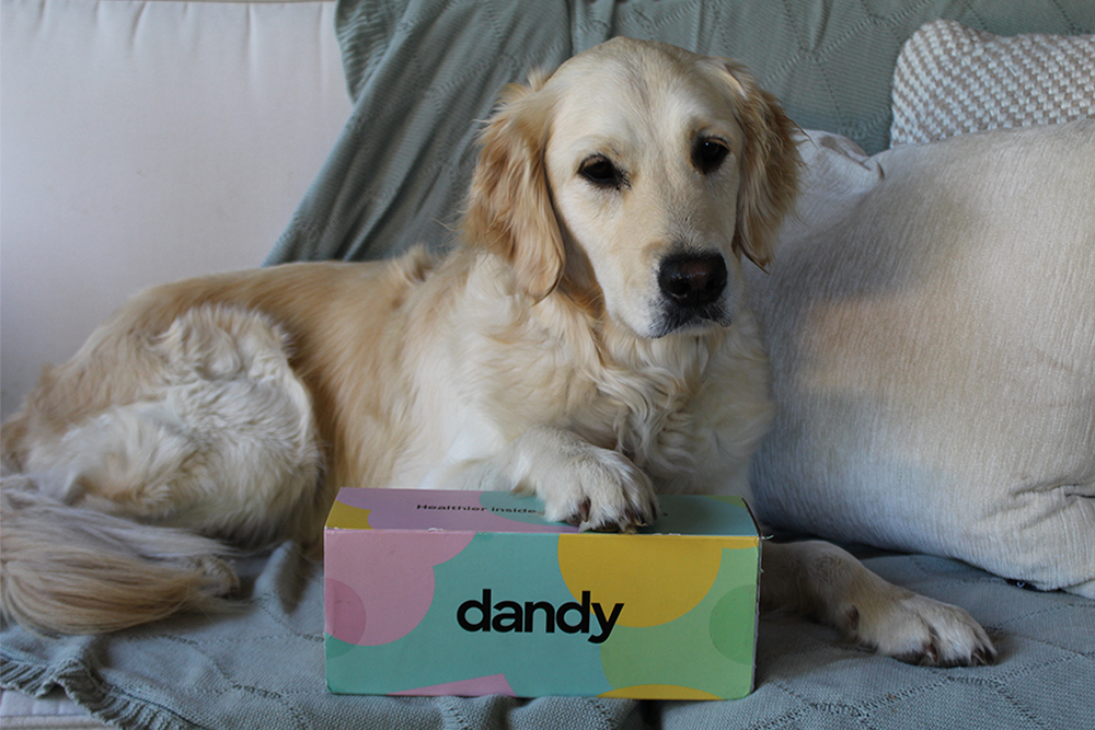 Dandy Dog Supplements Review Tasty and Tailored for Your Dog's Needs