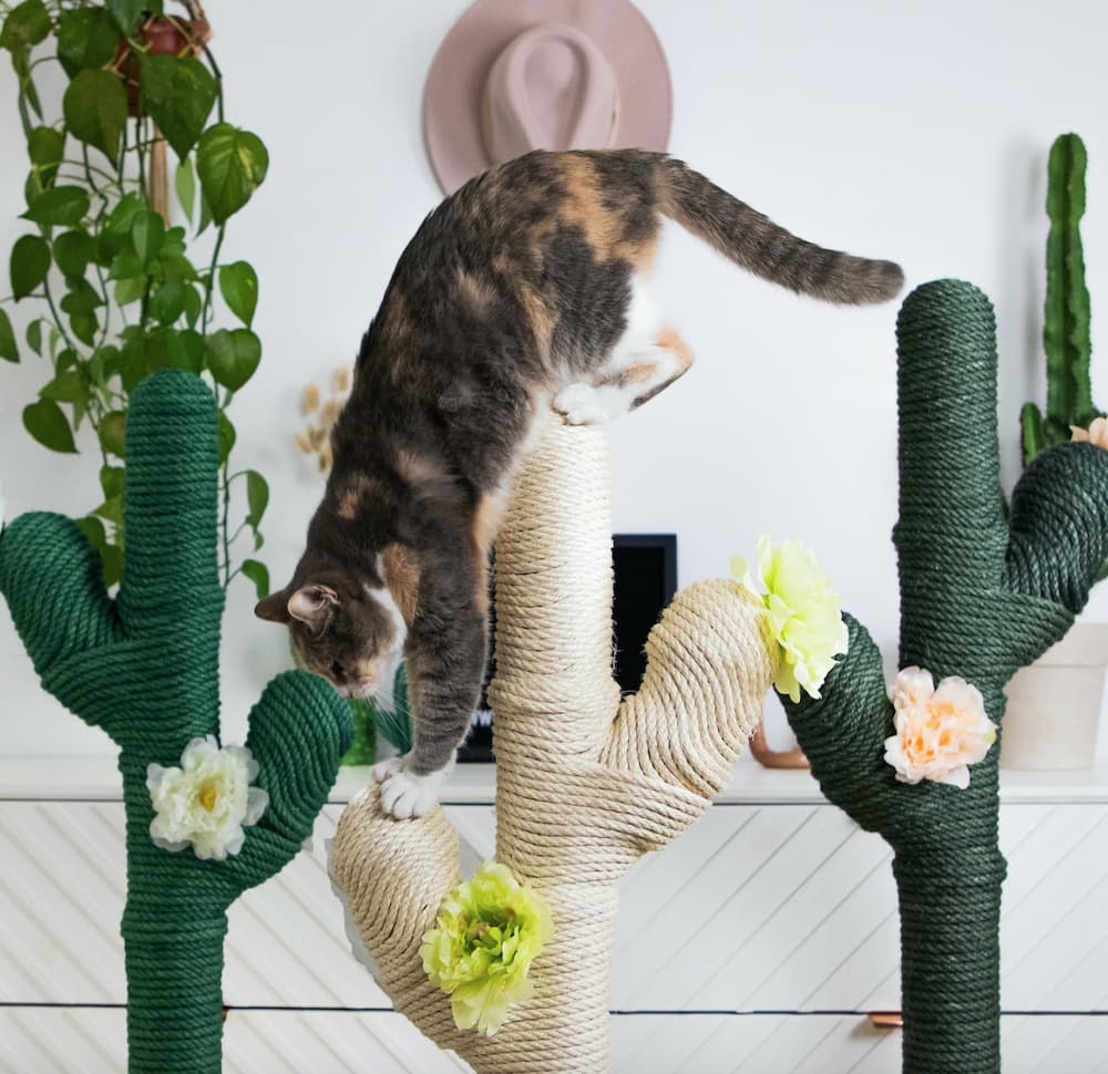 RiverNCats Cactus Cat Tree