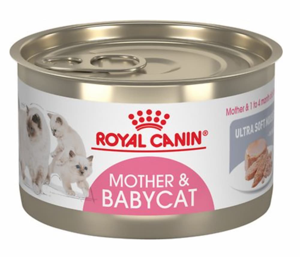 Royal Canin Mother & Babycat Ultra-Soft Mousse in Sauce Wet Cat Food, a high-calorie cat foods
