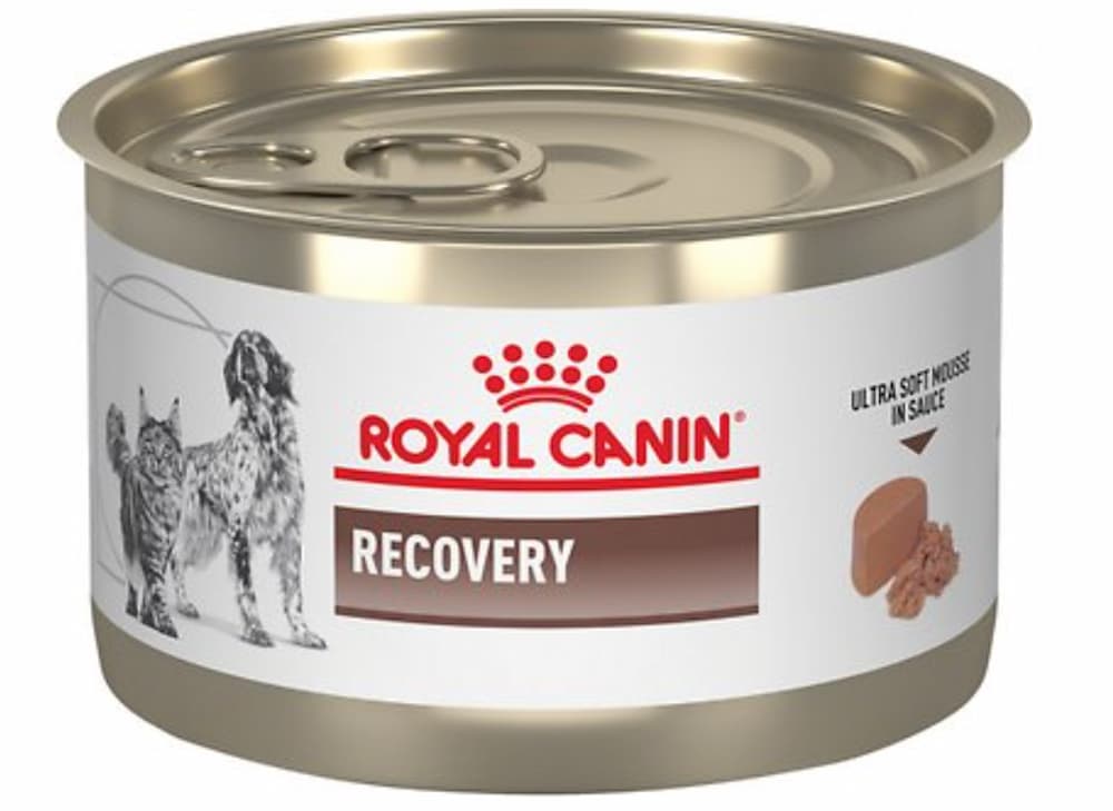Royal Canin Veterinary Diet Recovery RS Canned Dog & Cat Food