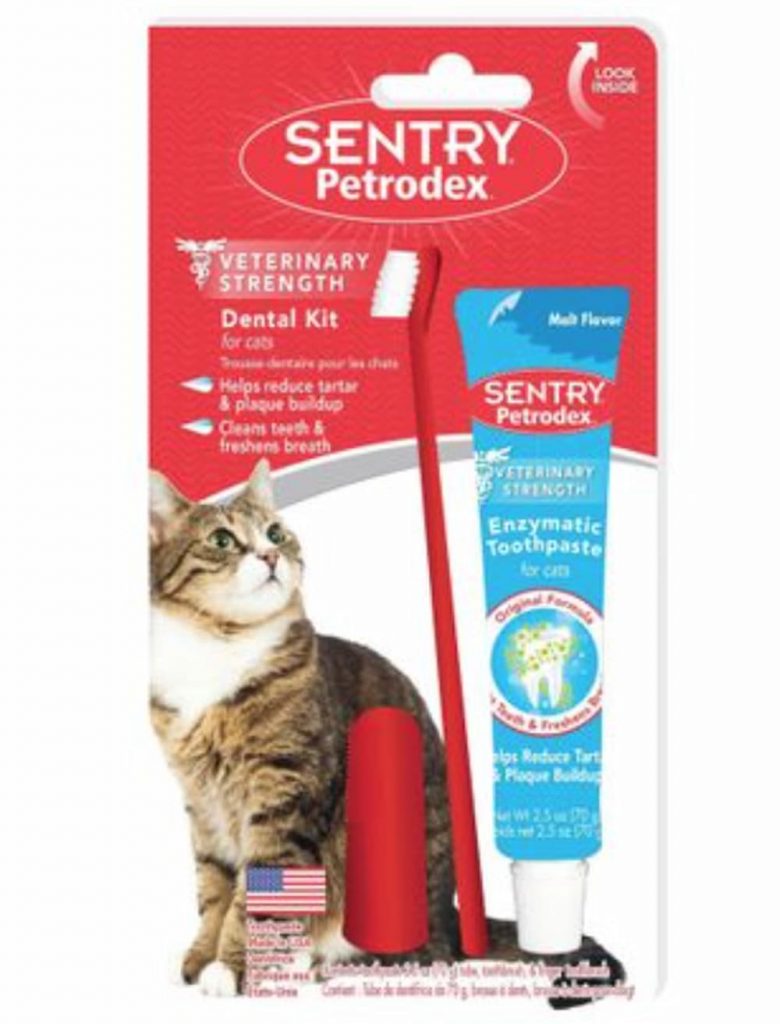 Best Cat Toothbrush 8 Picks for Clean Teeth Vetstreet Vetstreet
