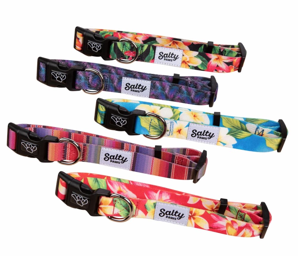 Salty paws dog collars