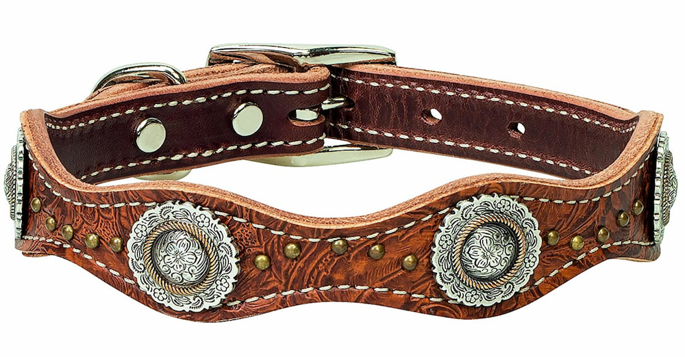 Western-inspired leather dog collar