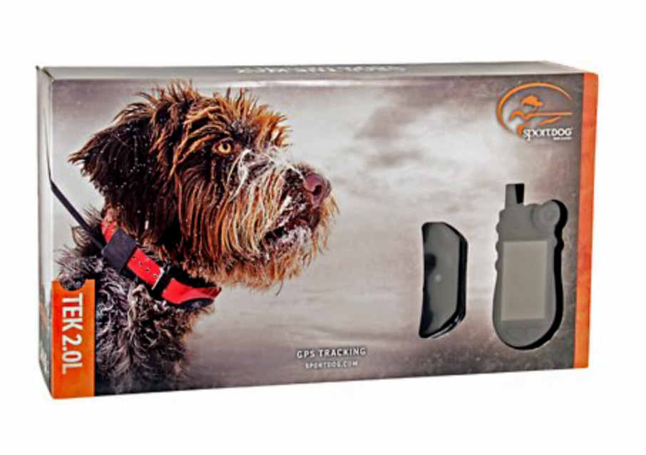 10 high fashion pet accessories for your stylish dog