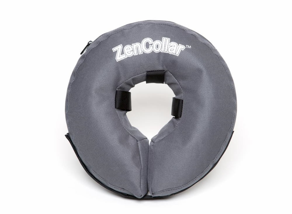 ZenCollar inflatable collar for dogs