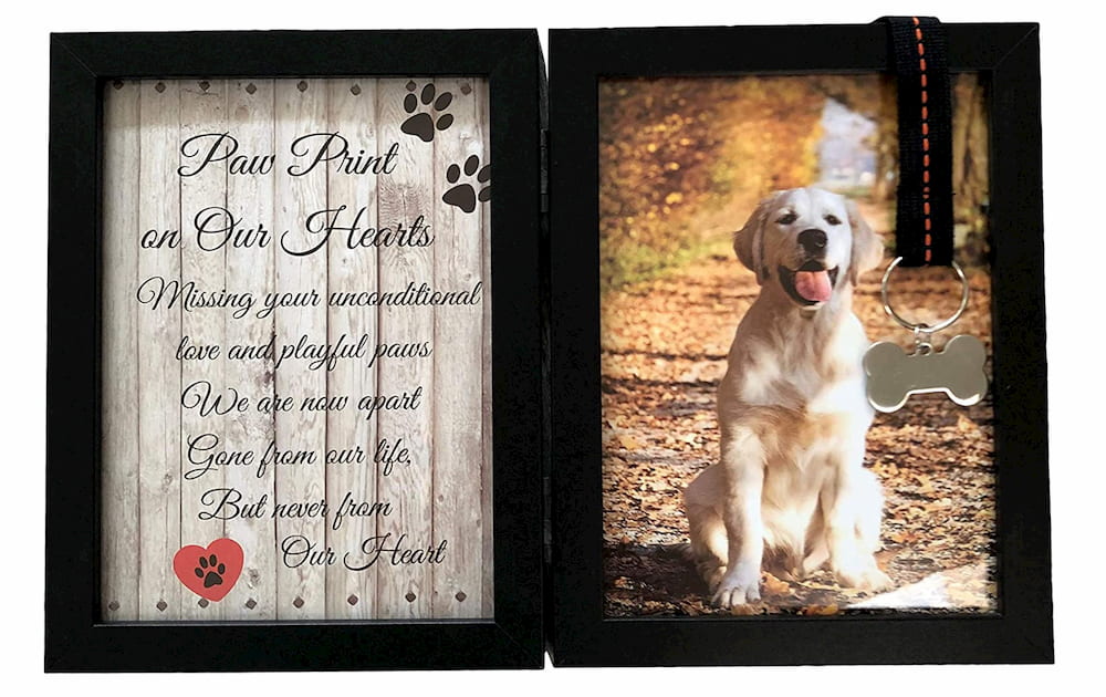 Dog memorial frame