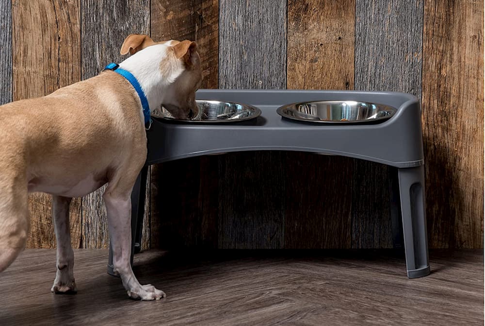 IRIS elevated dog bowl