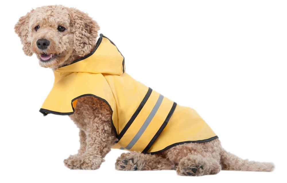 SPOT Ethical Products Dog Raincoat