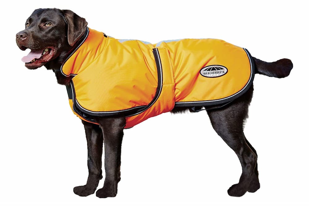 Weatherbeeta Reflective Dog Parka