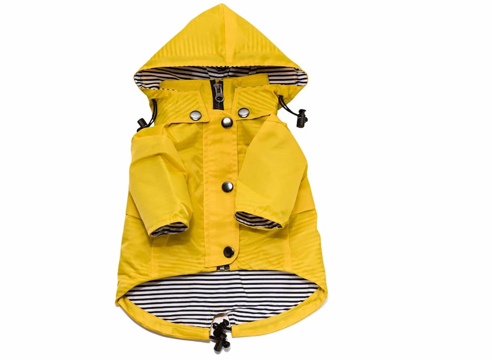 Ellie Dog Wear Yellow Zip Up Dog Raincoat