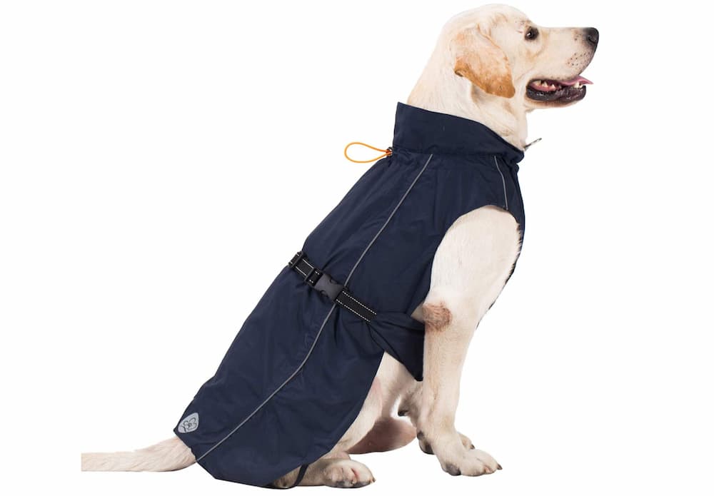 Pro Plums Adjustable Dog Raincoat
