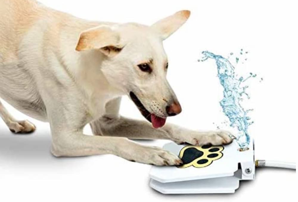Outdoor Step-On Dog Fountain