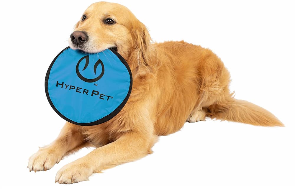 Hyper Pet Flippy Flopper Dog Frisbee 
