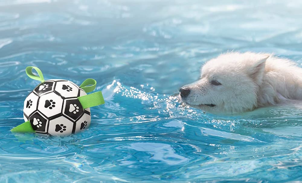 ES Soccer Ball Dog Toy
