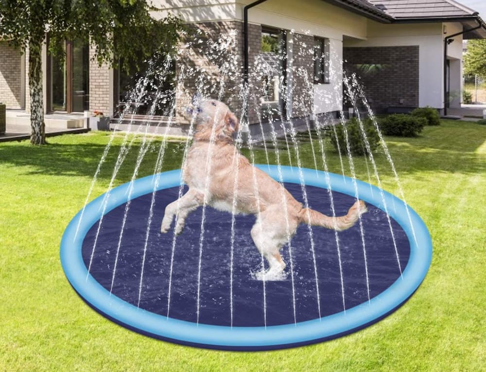 Splash Sprinkler Pad for Dogs