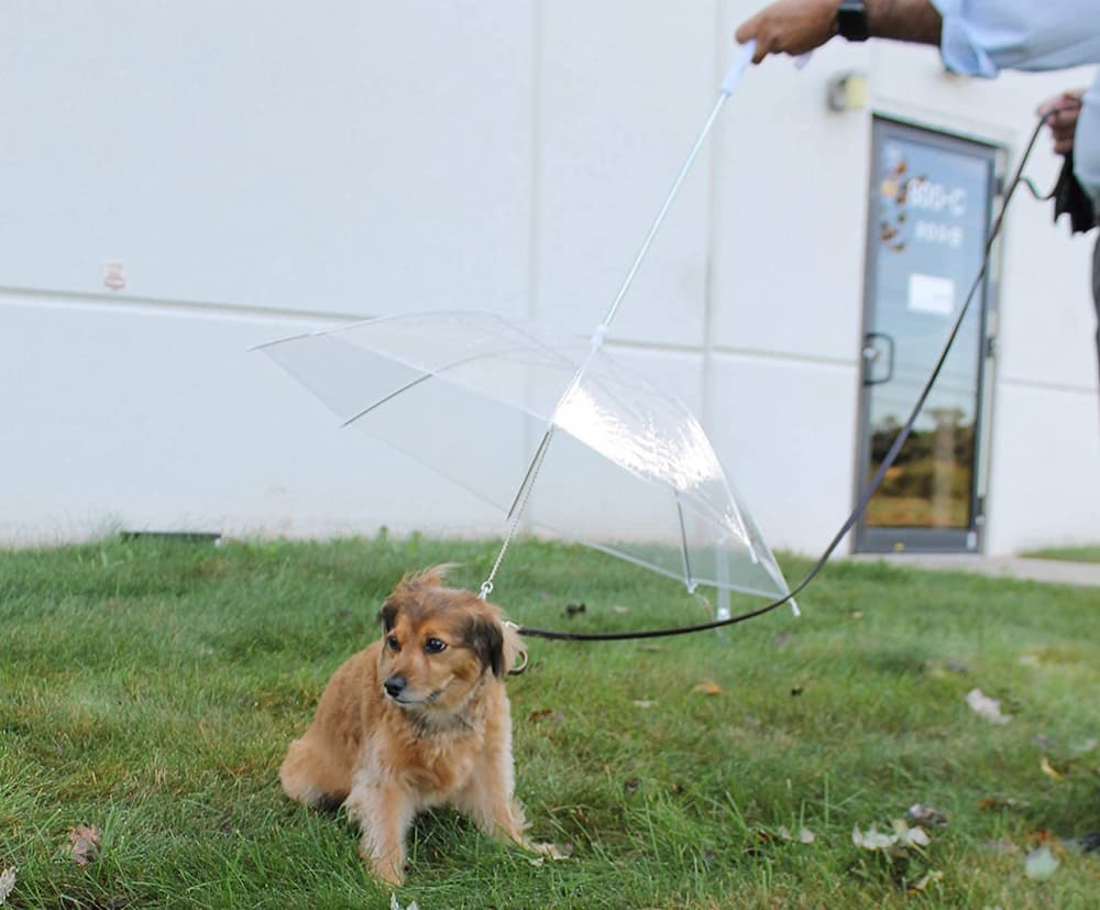 Perfect Life Ideas Pet Dog Umbrella