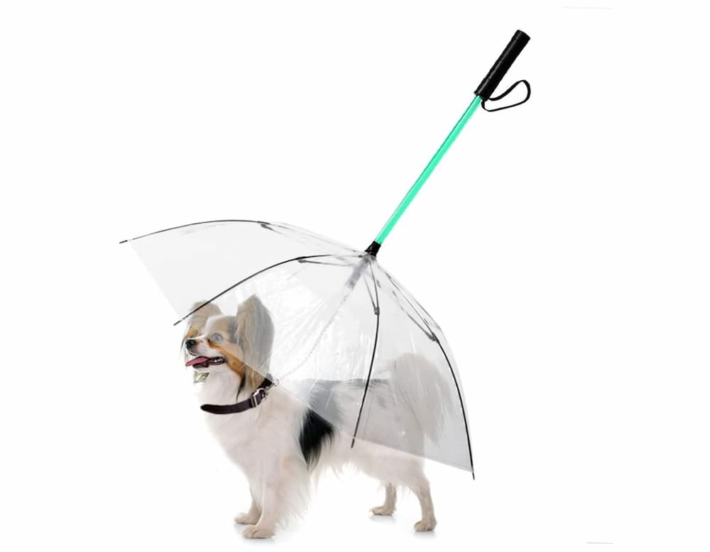LESYPET LED Dog Umbrella