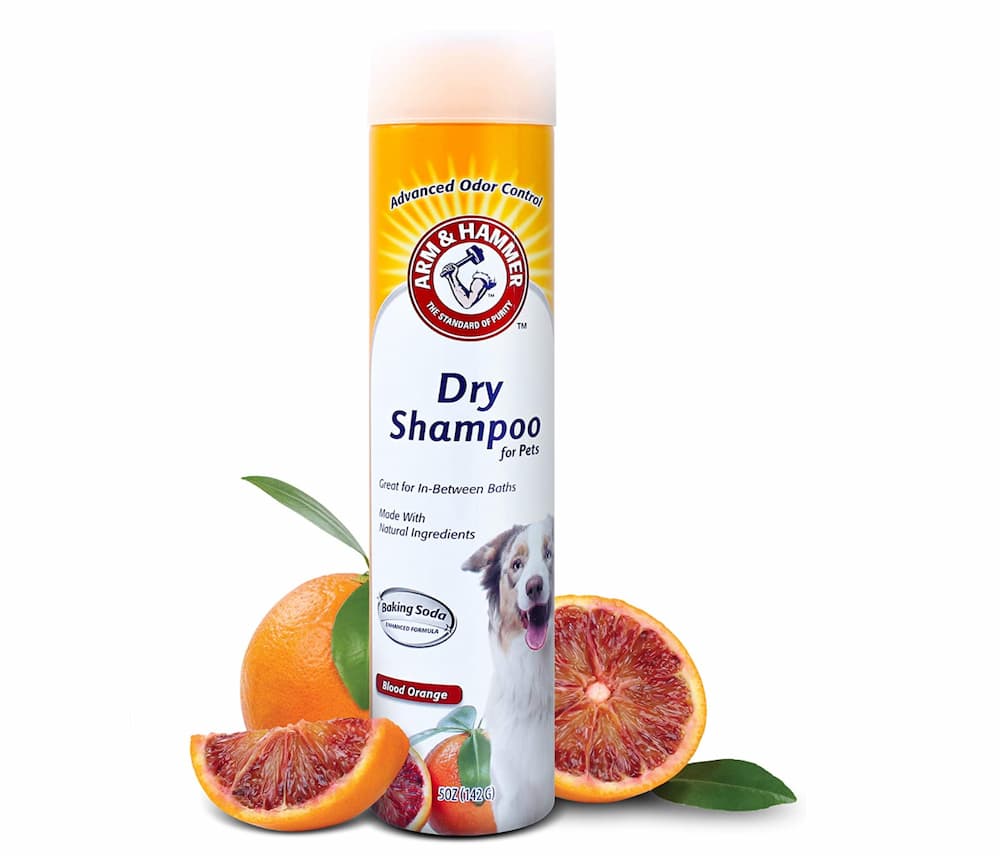 Arm & Hammer for Pets Aerosol Dry Shampoo for Dogs