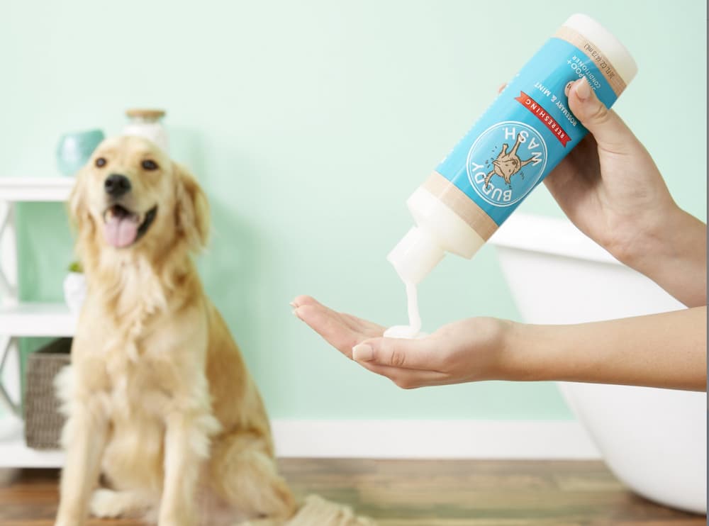 Buddy Wash Rosemary and Mint dog shampoo