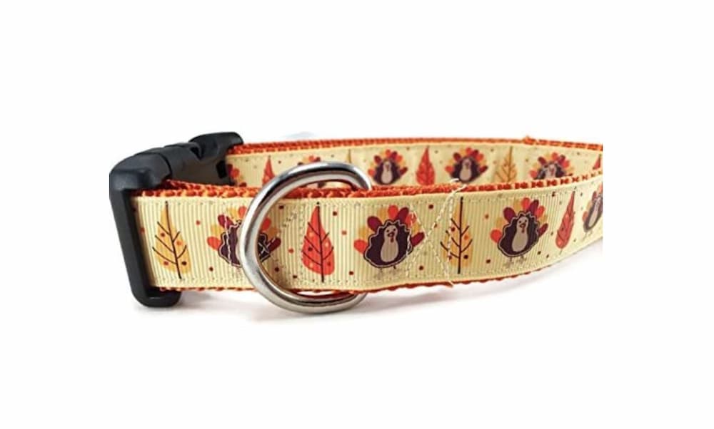 Caninedesign Thanksgiving dog collar