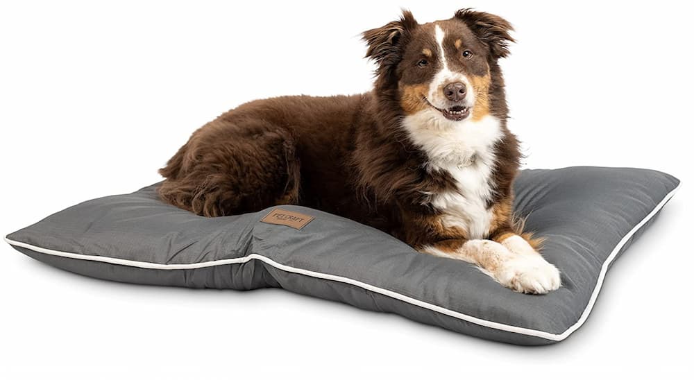 Pet Craft Supply Snoozer dog bed