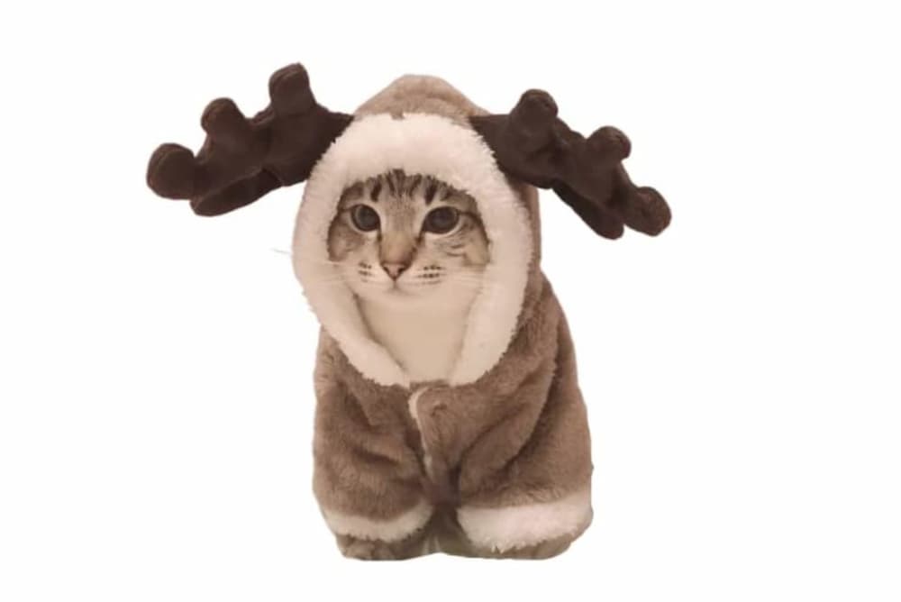 reindeer cat Christmas hoodie