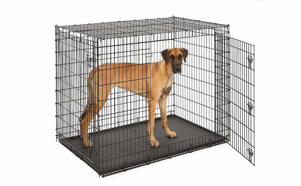 Midwest Homes XXL dog crate