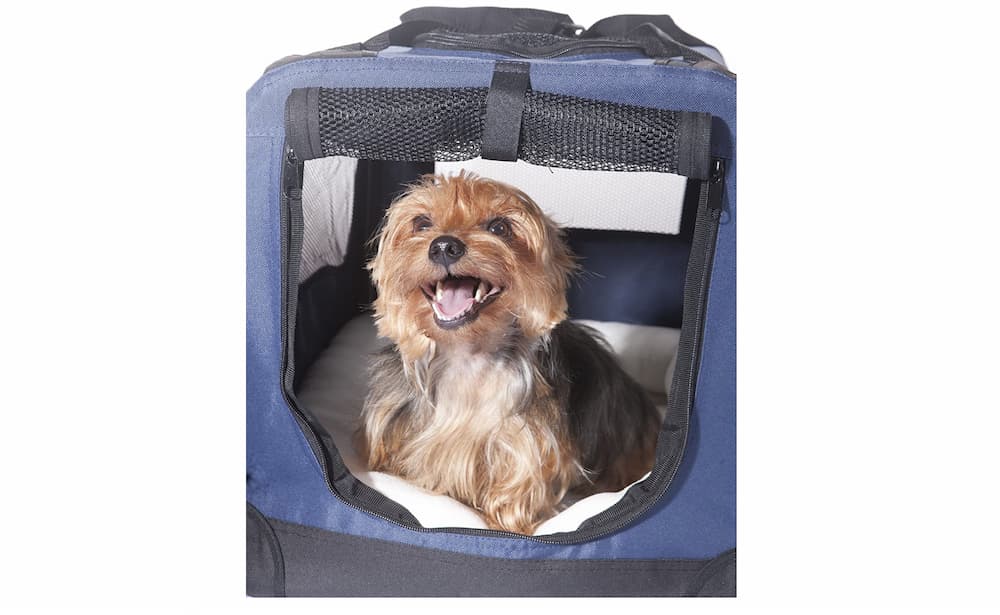 2PET foldable dog crate