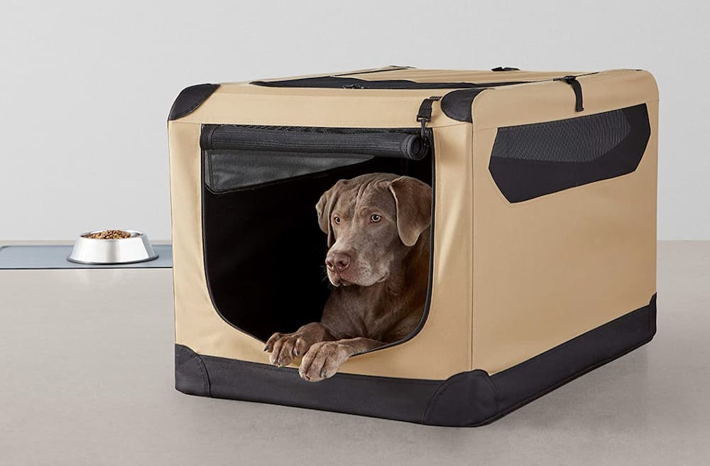Amazon Basics soft dog crate
