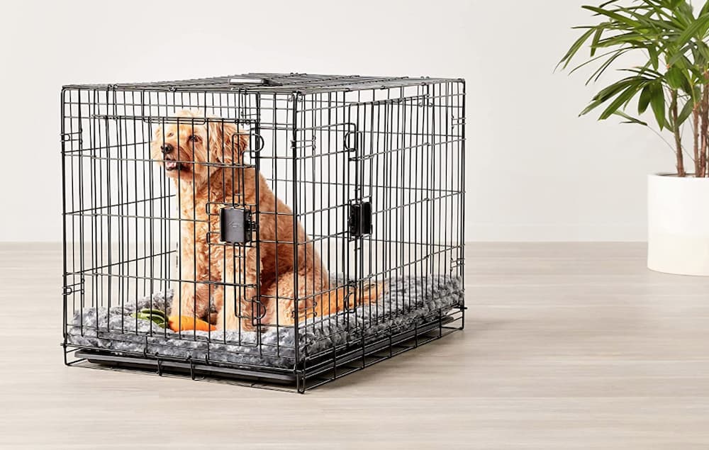 Amazon Basics dog crate