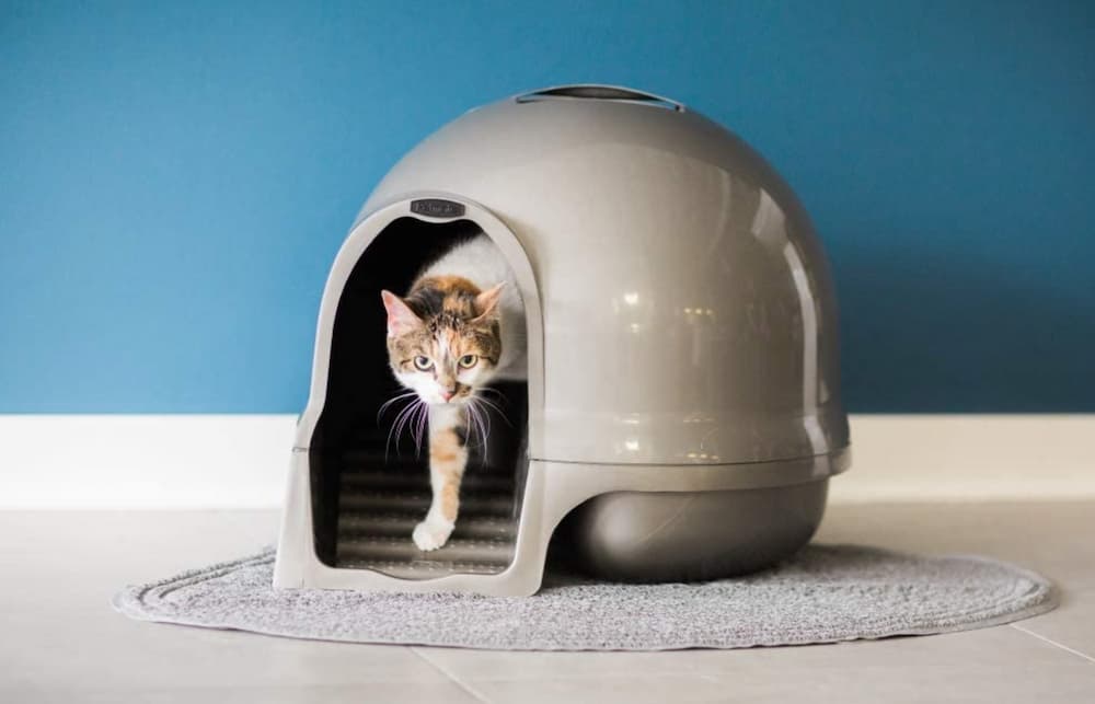 PETMATE Dome Clean Step Cat Litter Box
