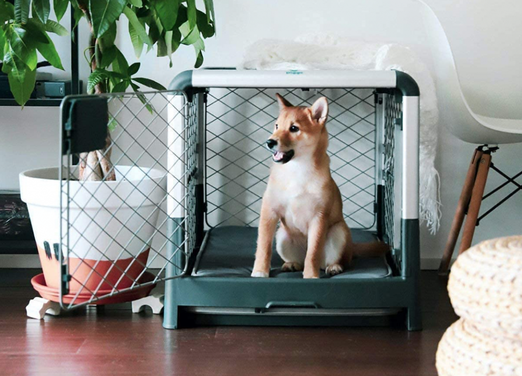 3 Top Trending Stylish Dog Crates and Their Features