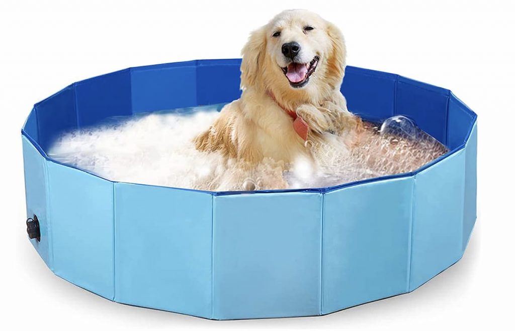 swimming pool for dogs
