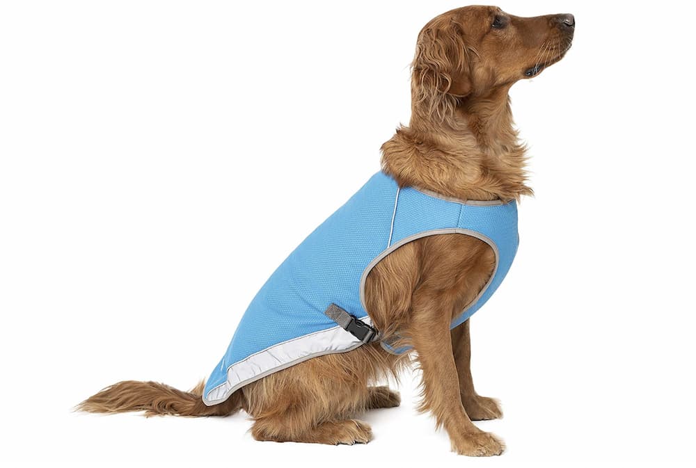 Canada Pooch Chill Seeker Cooling Vest