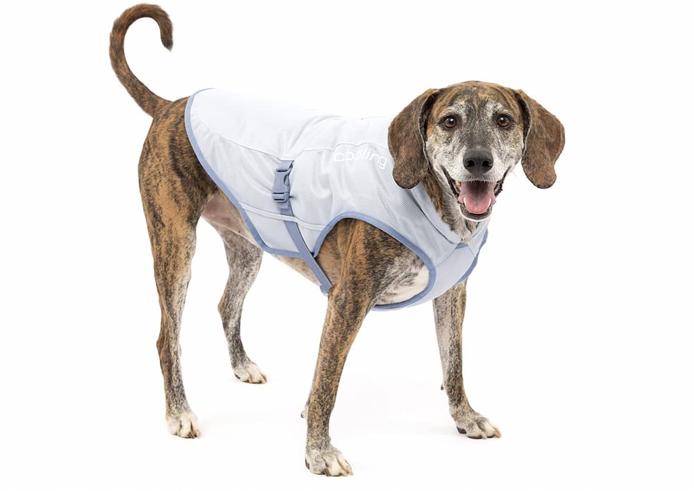 Kurgo Core Cooling Dog Vest