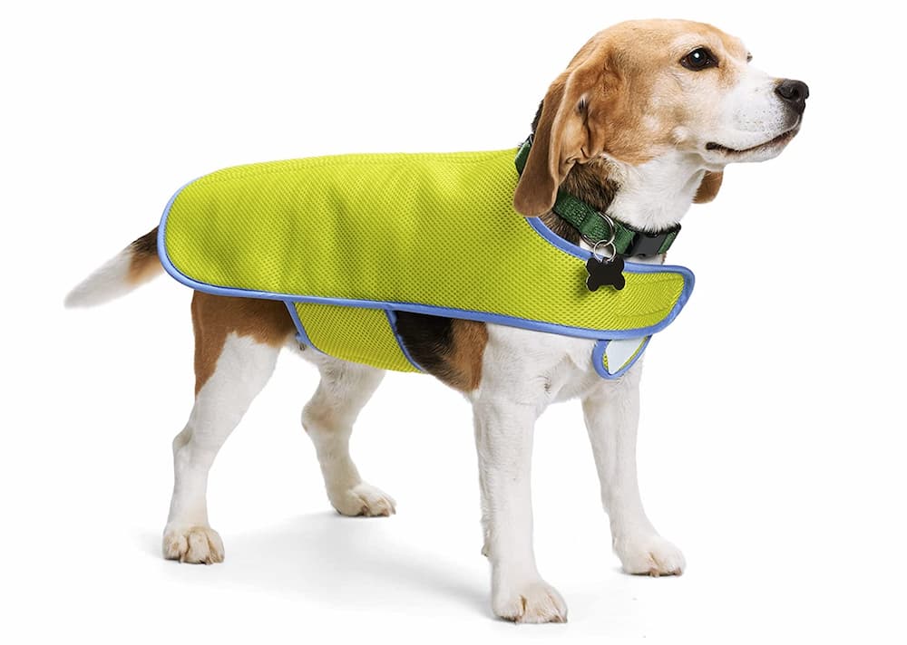 YOULY Yellow Cooling Dog Vest