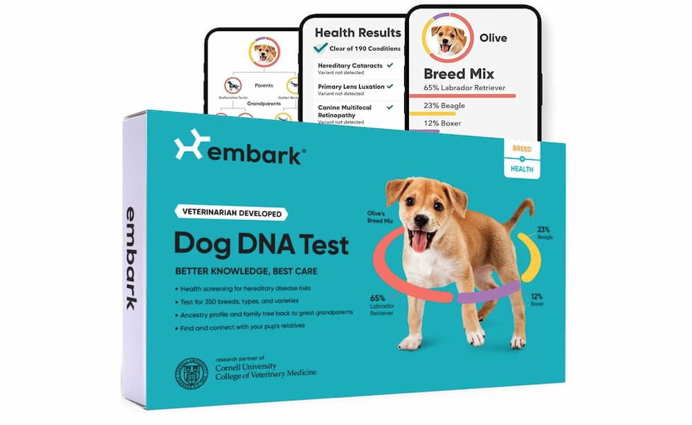 Embark DNA Test