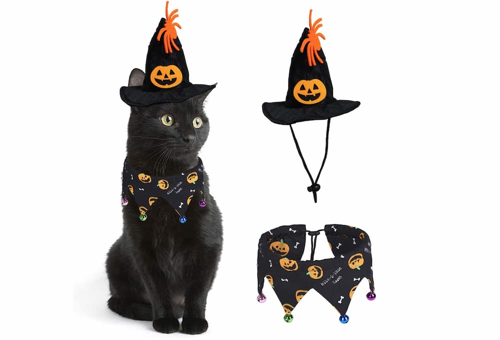 witch cat Halloween costume