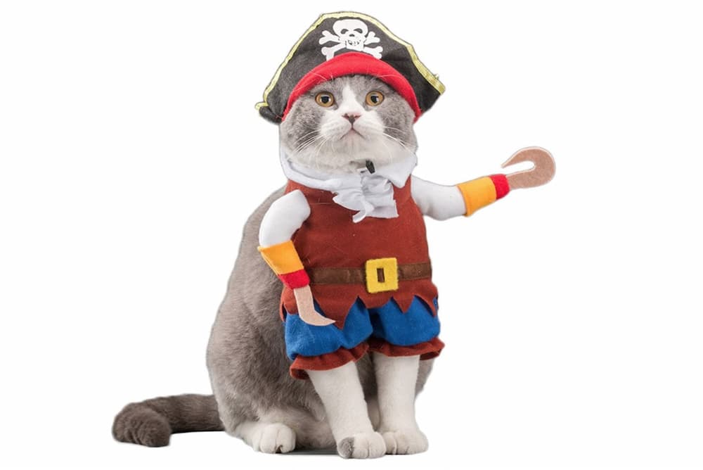 Pirate cat Halloween costume