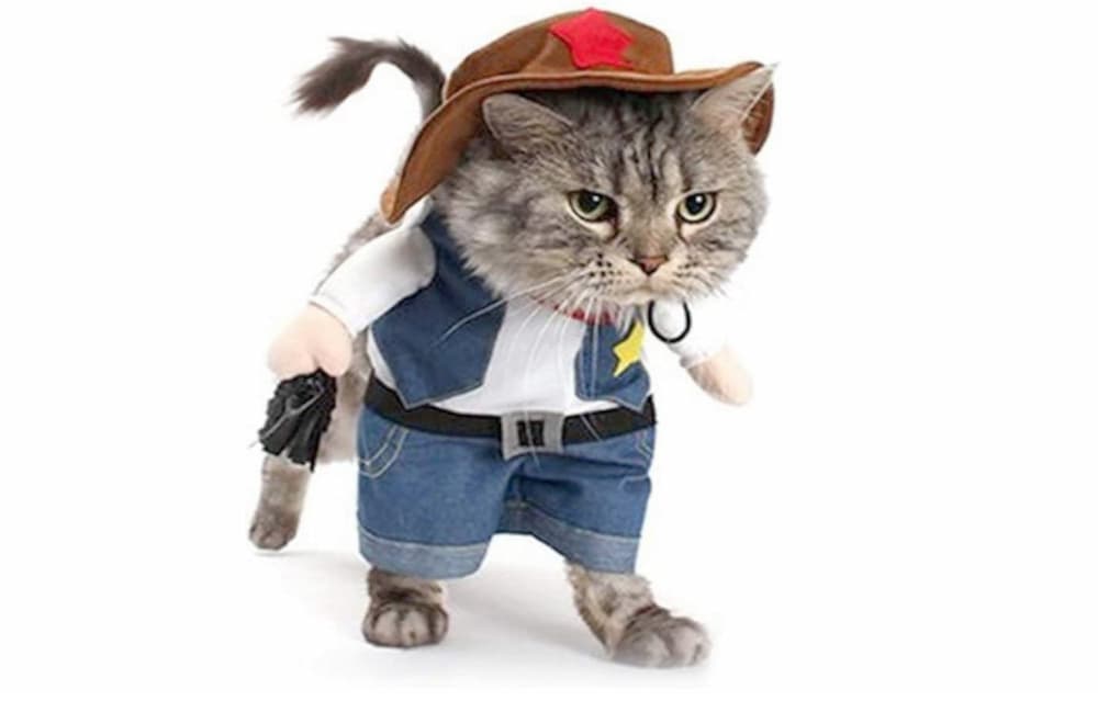 Cowboy cat Halloween costume