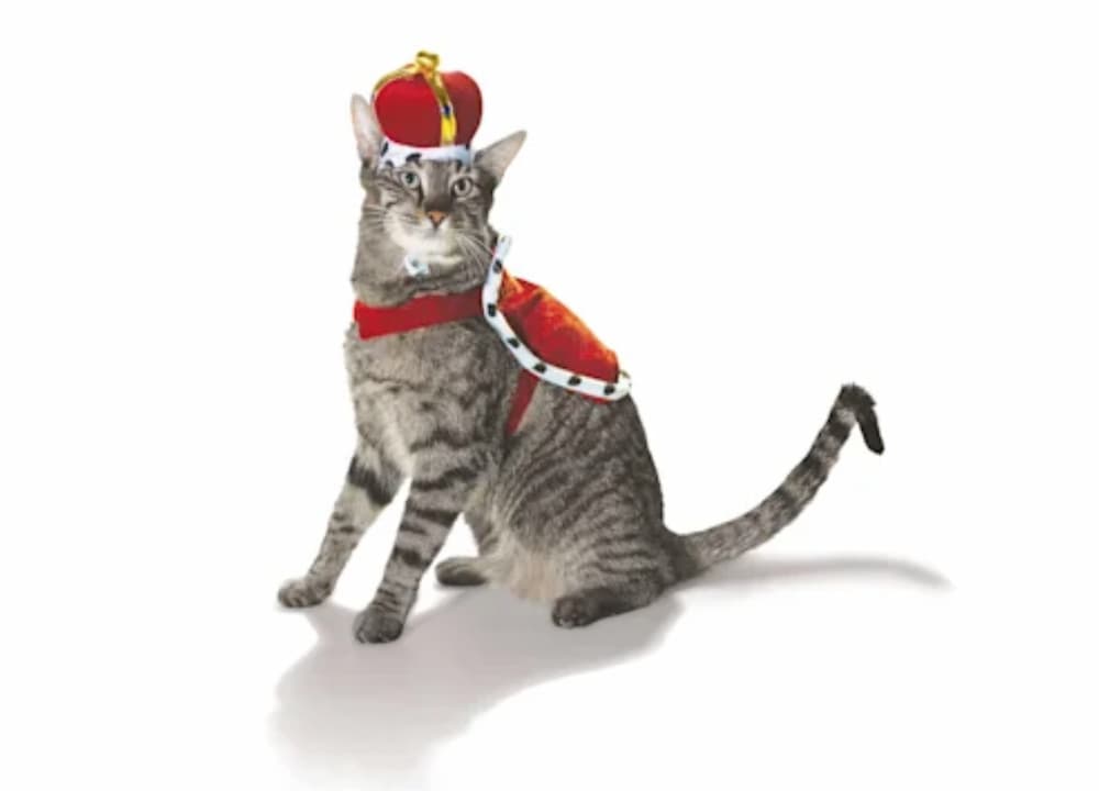 King costume for cats