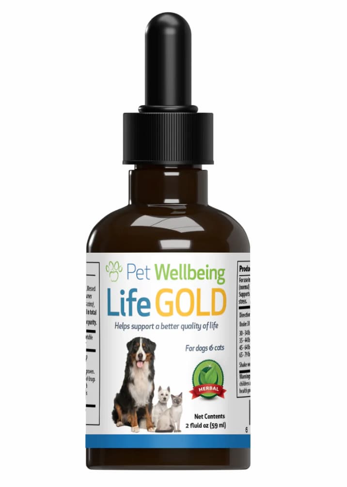 Pet Wellbeing Life Gold Trusted Care for Cat Cancer - immune support for cats