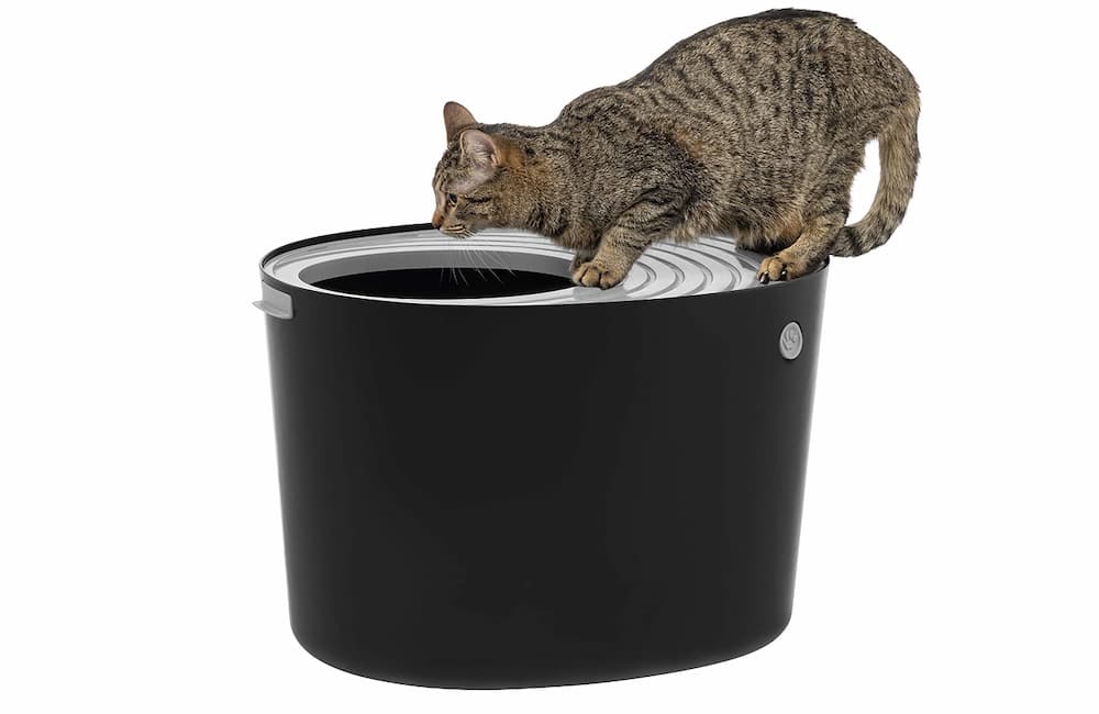 Iris top entry cat litter box