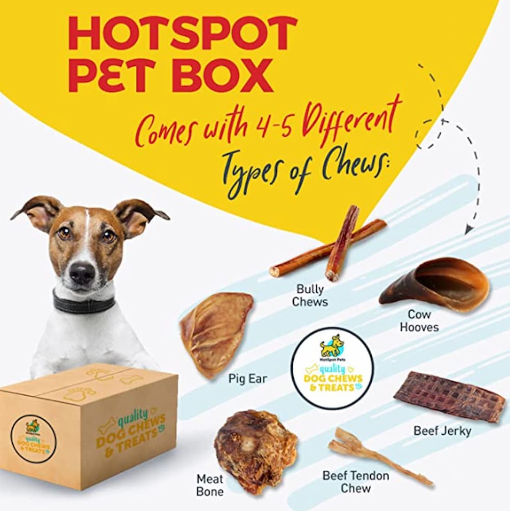 HotSpot Pet Box