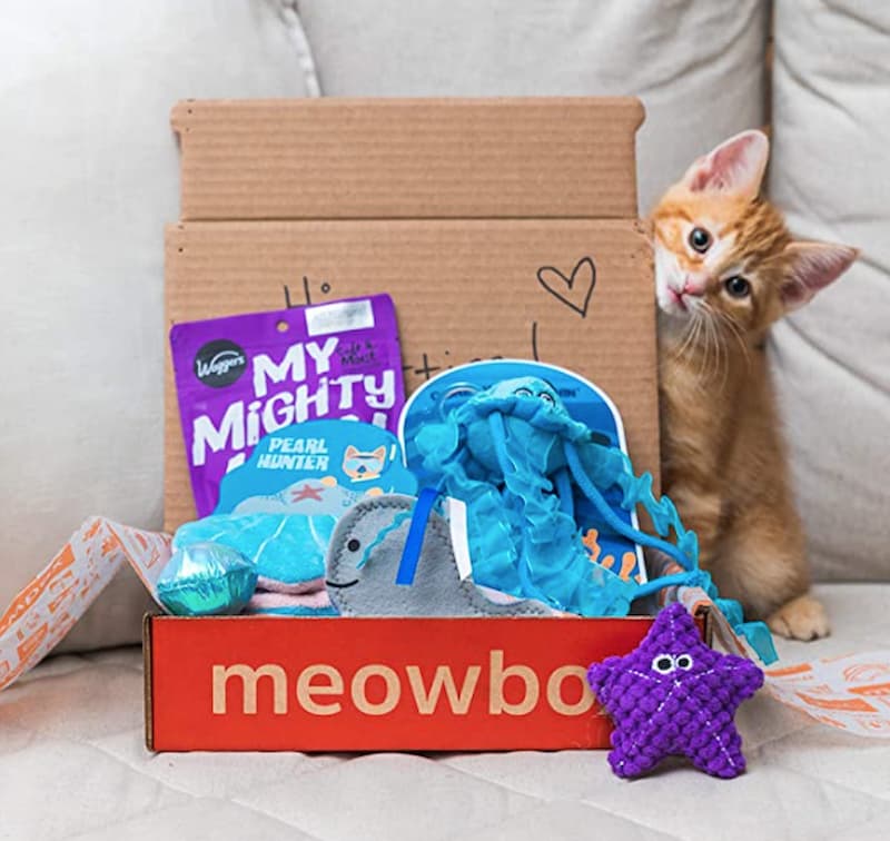 Meowbox for cats