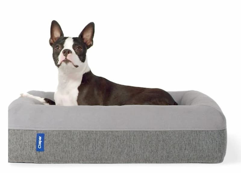 Casper dog bed
