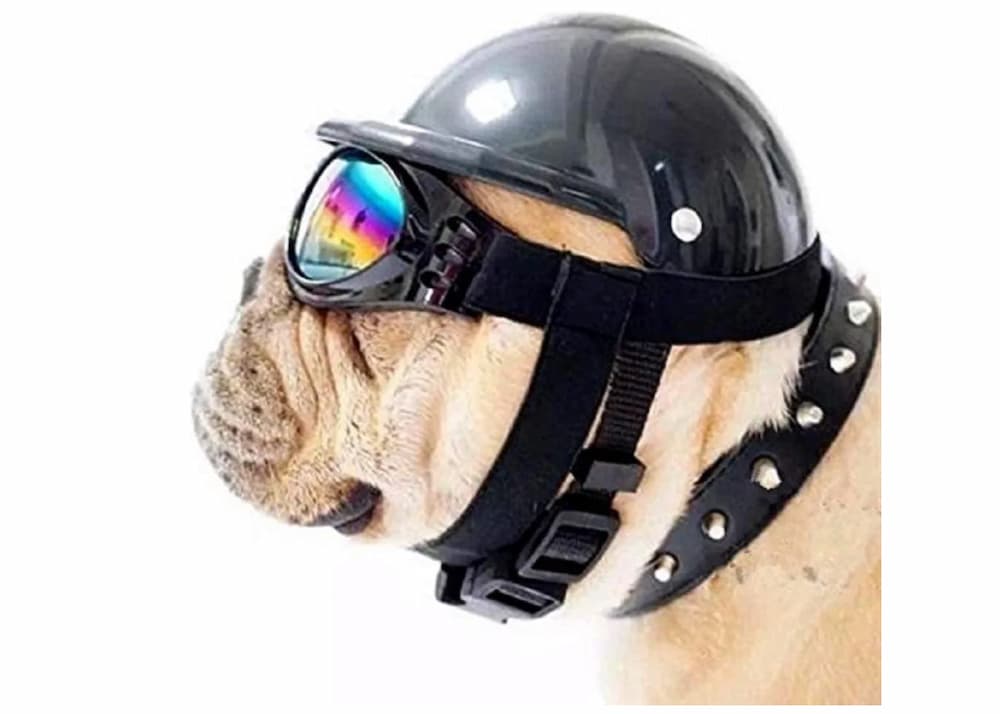 ShopTrend Dog Hat with Goggles