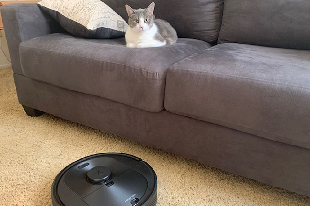 cat looks at pet vacuum from Roborock